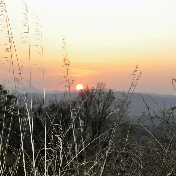 Tramonto casale maremma