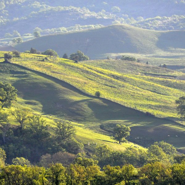 Poggio casale maremma