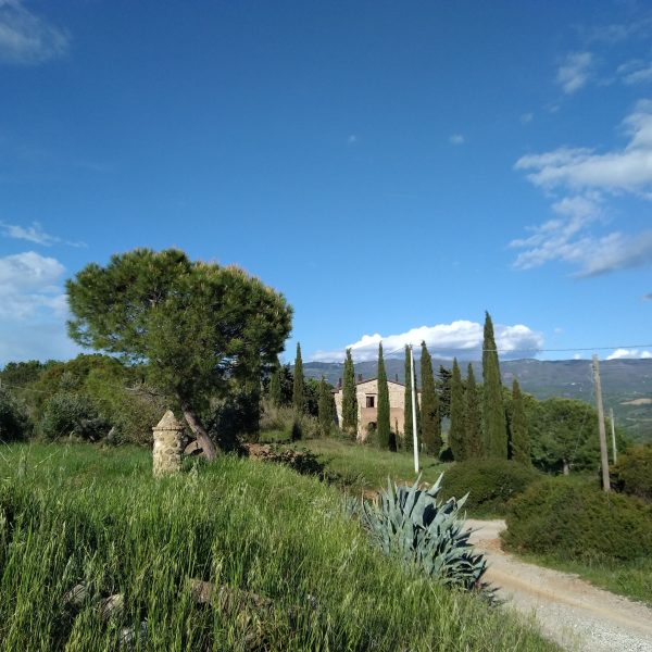 Casale maremma entrata
